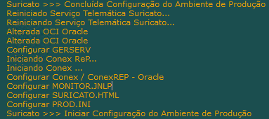 4. 4º. Passo - Aguarde no log abaixo concluir a configuração
