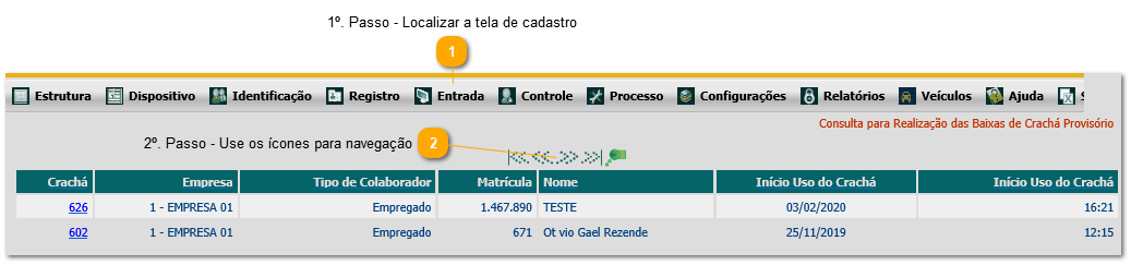 6.17. Como consultar crachá provisório