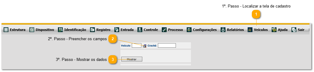 8.10. Como consultar de prontuário de veículo