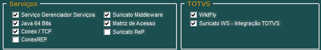 2. 2º. Passo - Selecione os Serviços