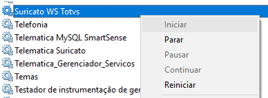 5. 5º. Passo - Inicie o Serviço