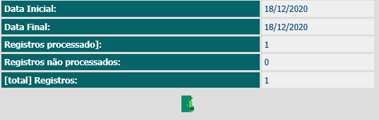 7. 7º. Passo - Visualize os registros processados